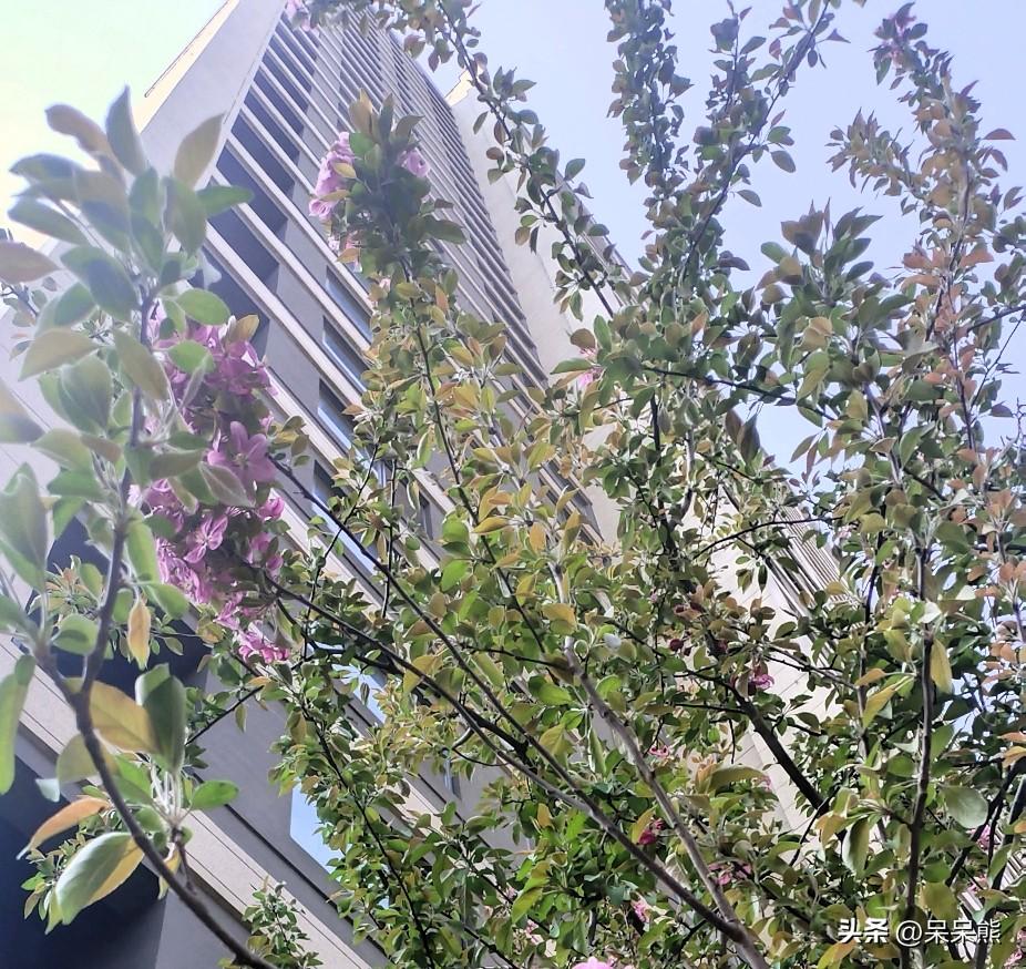 在公交车上，给老人让座。
有的七老八十了还座公交车，不给他让座，难道让他站着？这