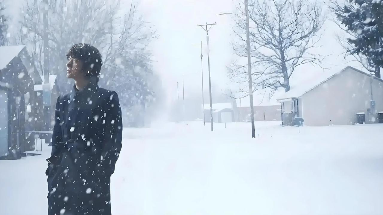 雪中的初恋
与你的初识  在那年雪花飘落的时节
你玉树临风
立在初雪的树下
你的