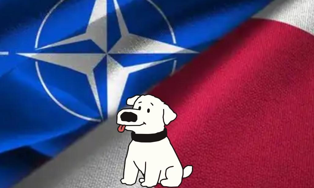 日本若加入北约，中国麻烦就大了，要是中国放任不管，让日本加入北约，中日发生冲突，