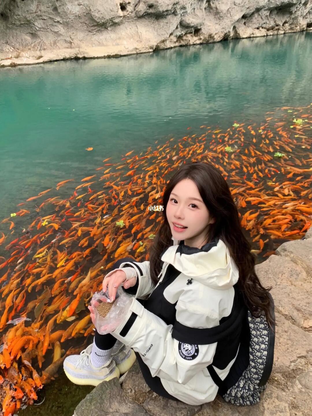 祝你鱼快⌯>ᴗ o⌯.ᐟ.ᐟ