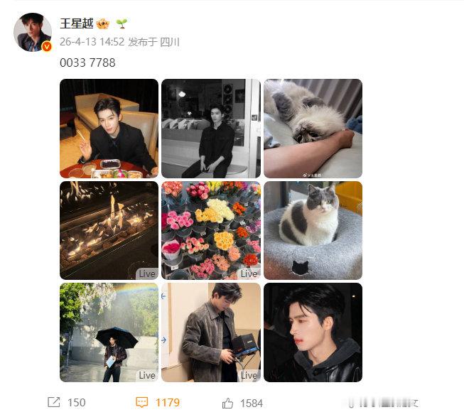 王星越00337788王星越新鲜谐音梗 王星越今日九宫格营业 