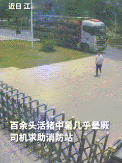 7月的徐州，地表温度快飙到四十度，柏油路都晒得发烫，货车刚停稳，司机就冲进门求救
