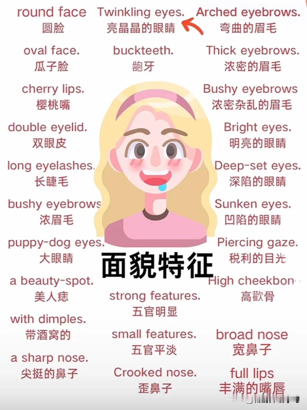 跟“面部特征”有关的英语词汇