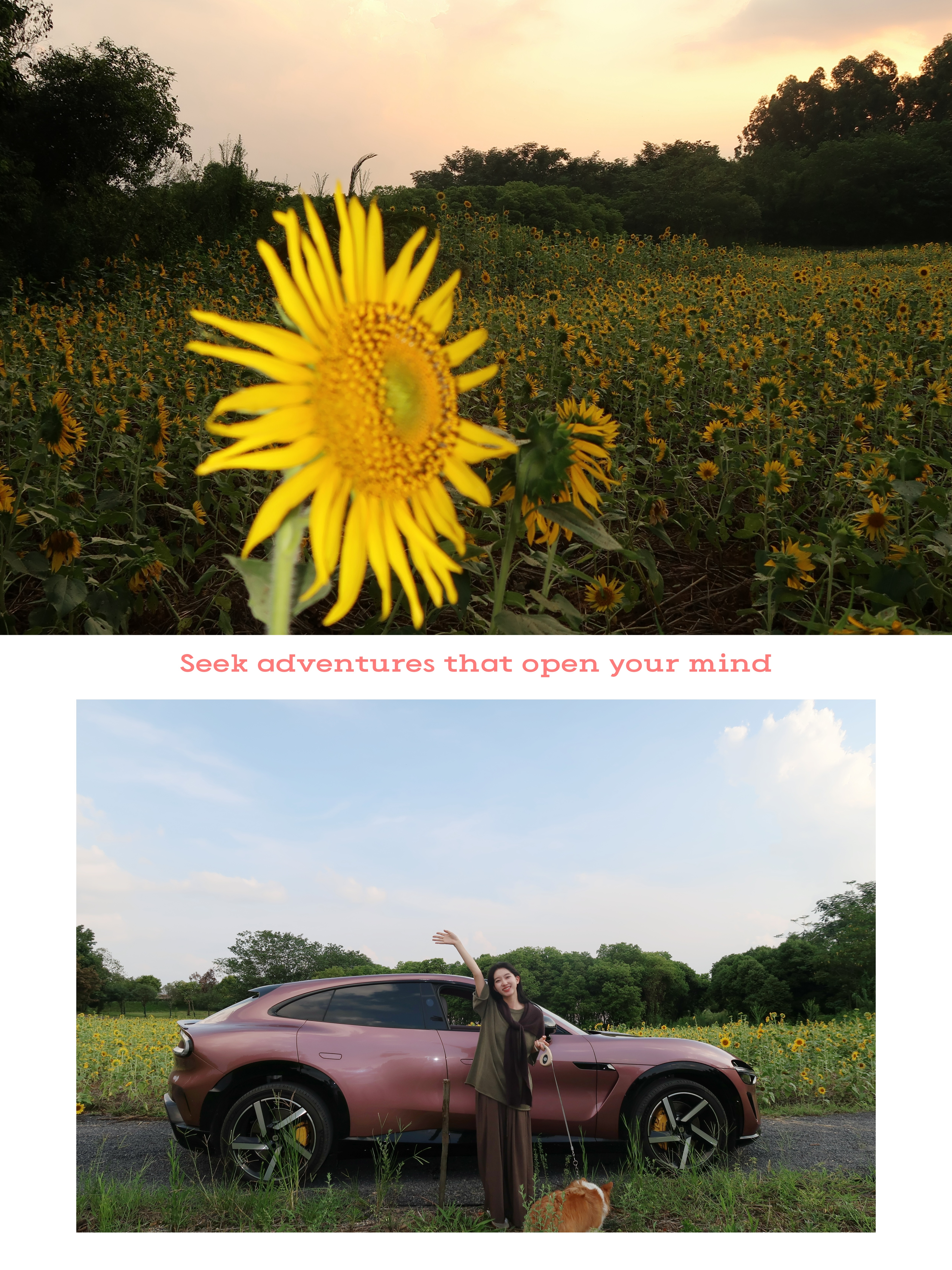 刚参加完小米车主露营活动沉浸式感受户外与科技的双向奔赴🏕📍双流为野营地202