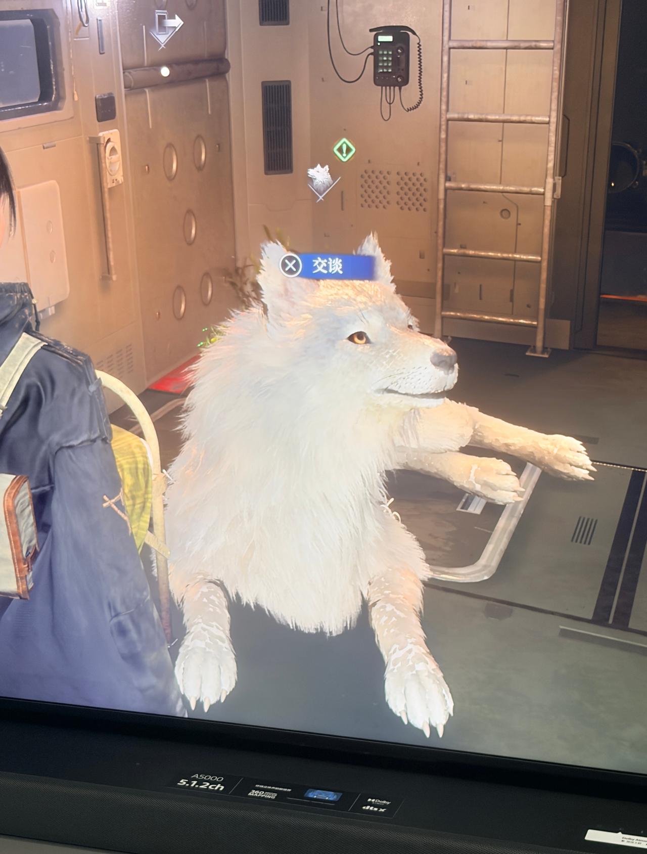 新的ps5游戏🎮开启哈哈哈哈哈哈哈不得不说我司的电视机是真的画质一绝！！！！赛