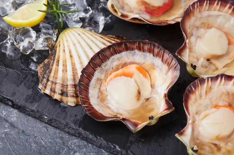 冬日生活打卡季 冬日生活确实太有魅力了！入冬后小海鲜简直是宝藏，扇贝又便宜又好吃