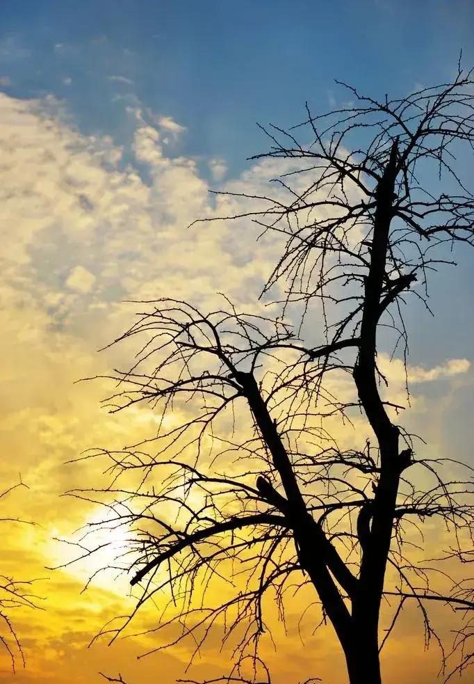 下联：细雨润新苗。