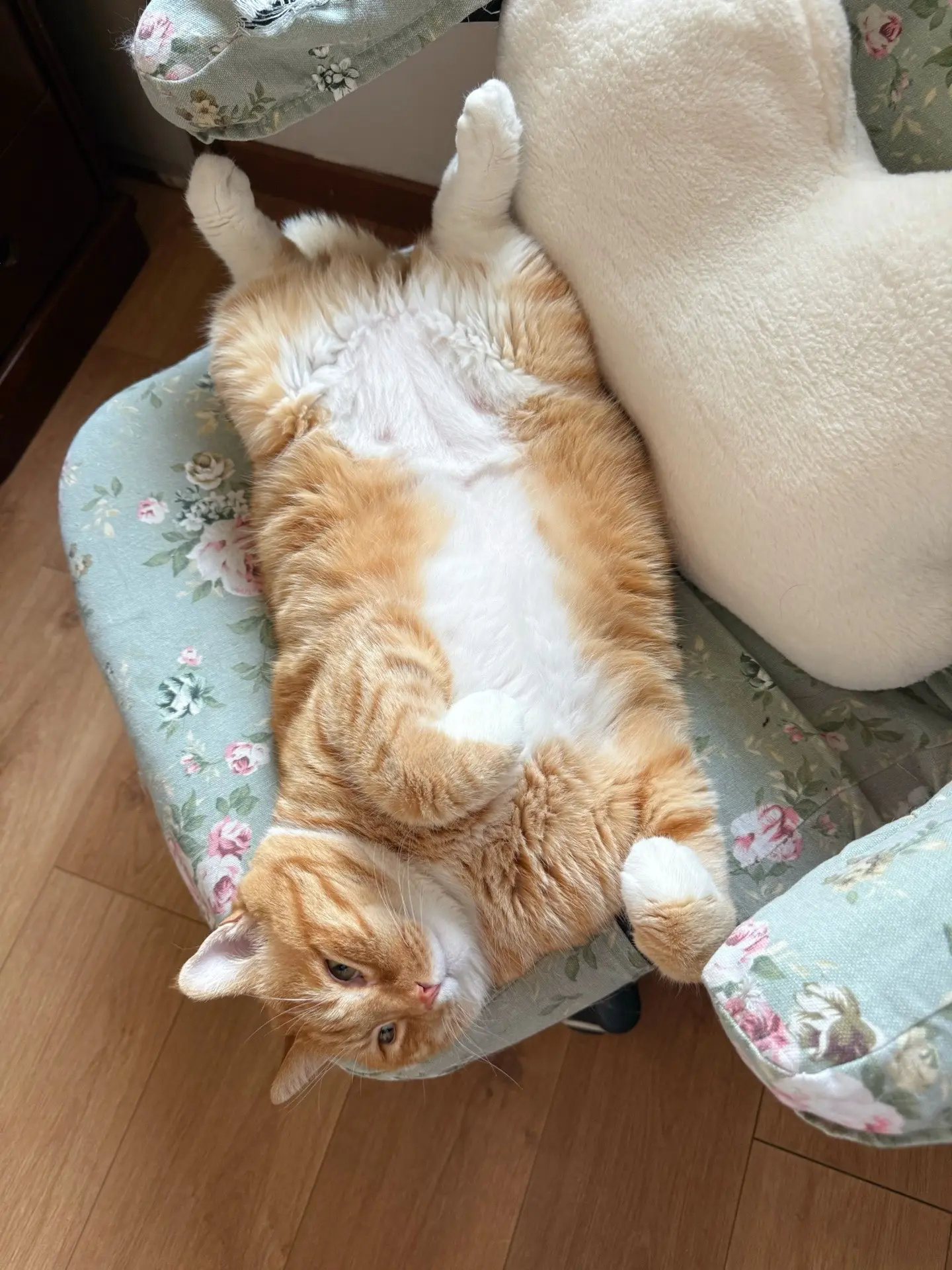 黄油大吐司超软糯。