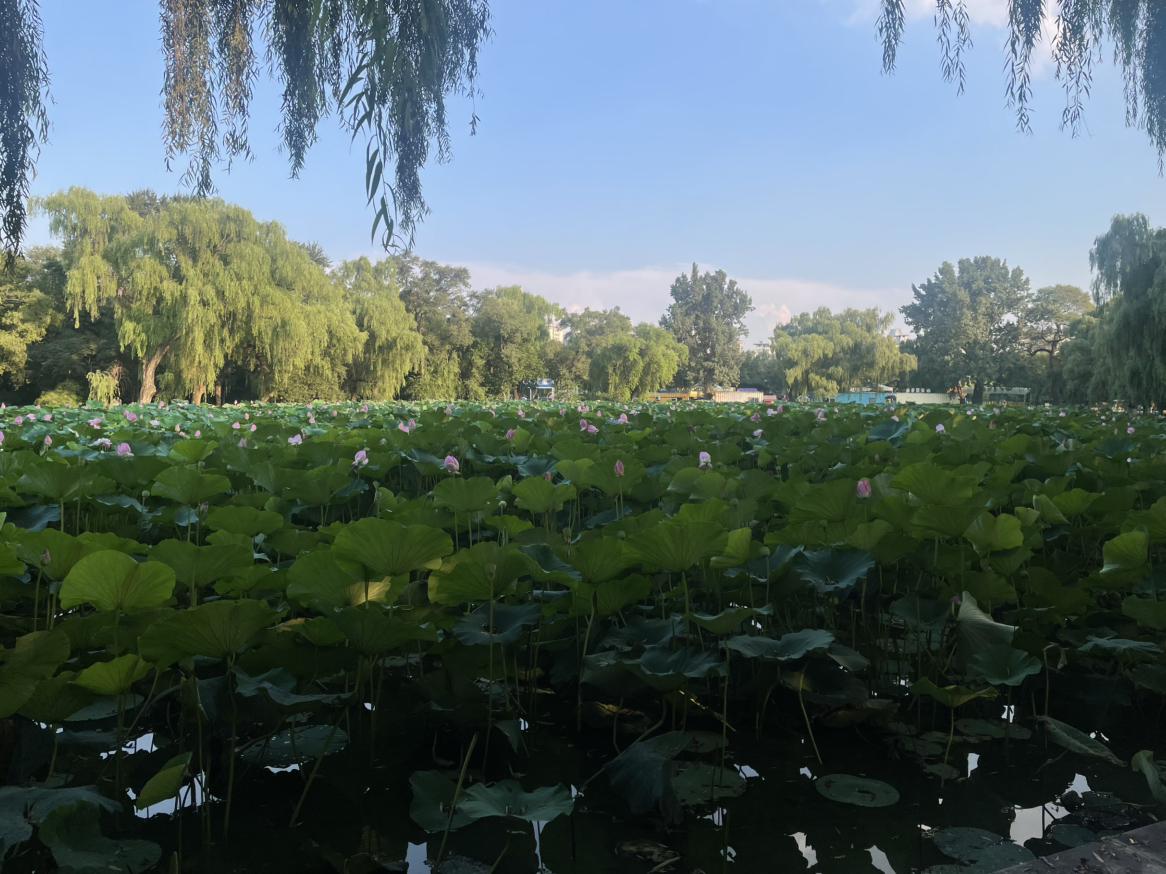 我的今日状态：😁轻松愉快
我这里的天气：☀️晴天