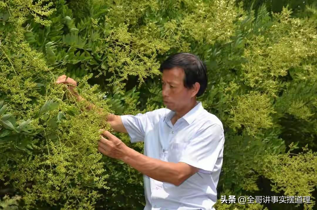 这才是真正为农民着想的代表，他建议将70岁以上农民的基础养老金从每月100元提高