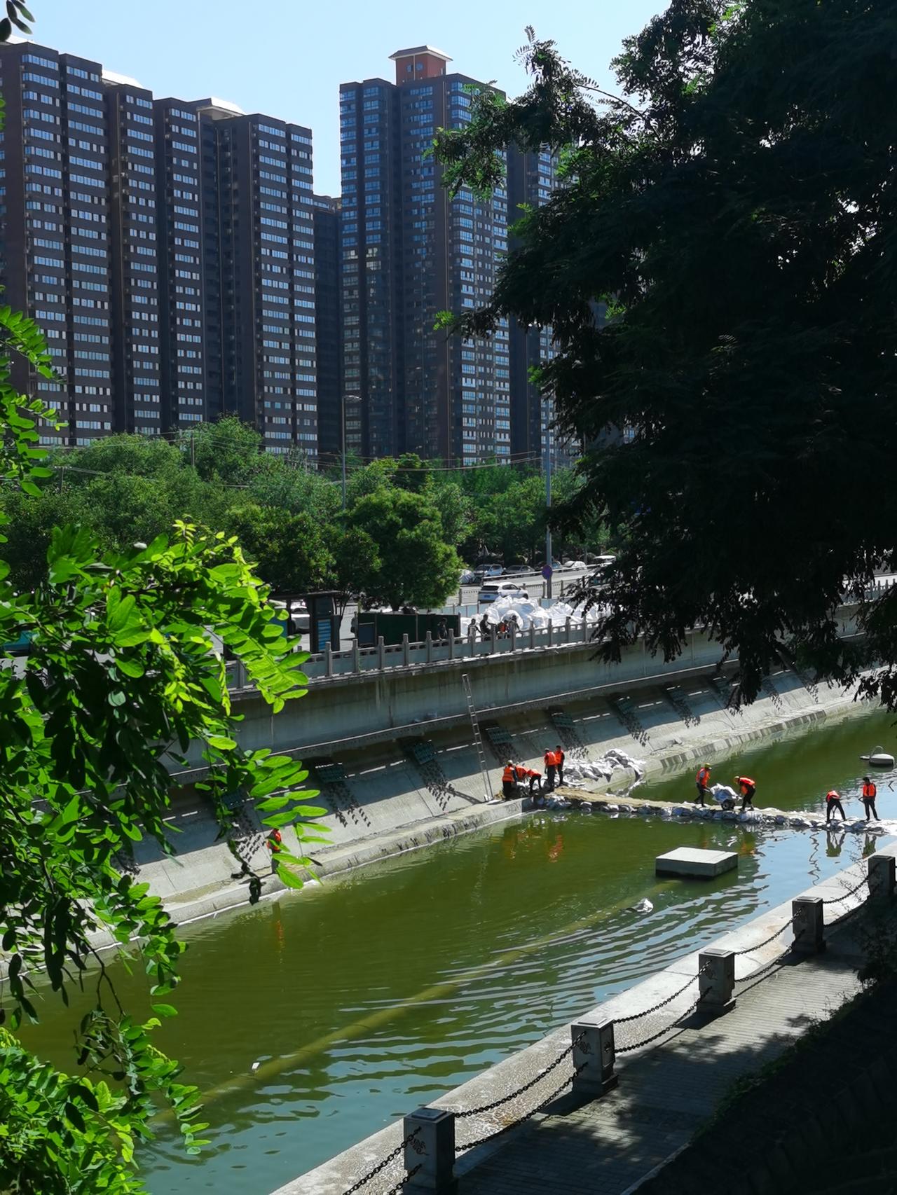 城墙公园的夏日景致美不胜收：湛蓝天空晴朗无云，灿烂阳光倾洒大地，巍峨城墙古朴厚重
