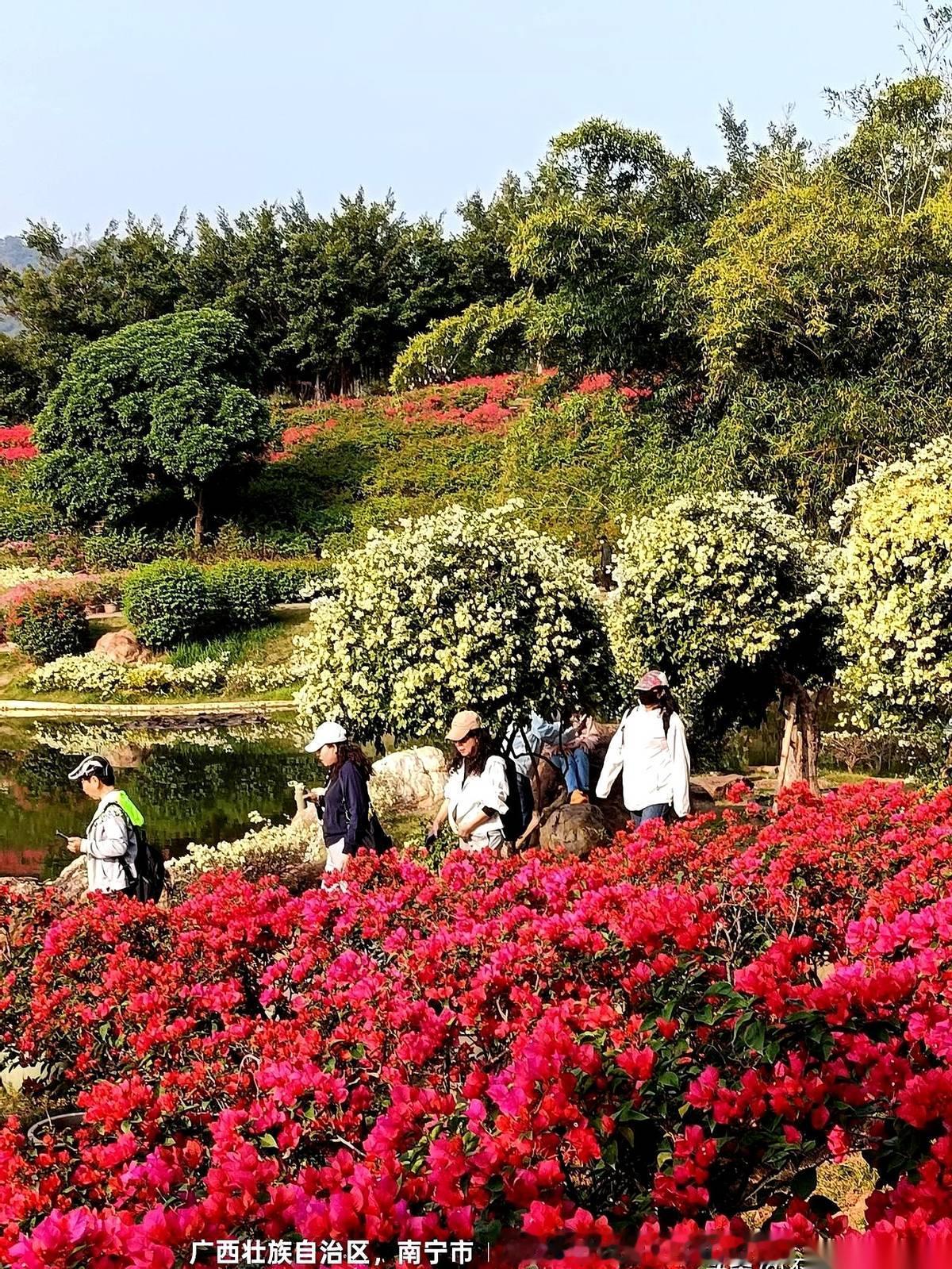 谁能想到，我现在最怕的节，竟然是过年。
不是嫌吵，也不是怕花钱。
就是怕撕日历，