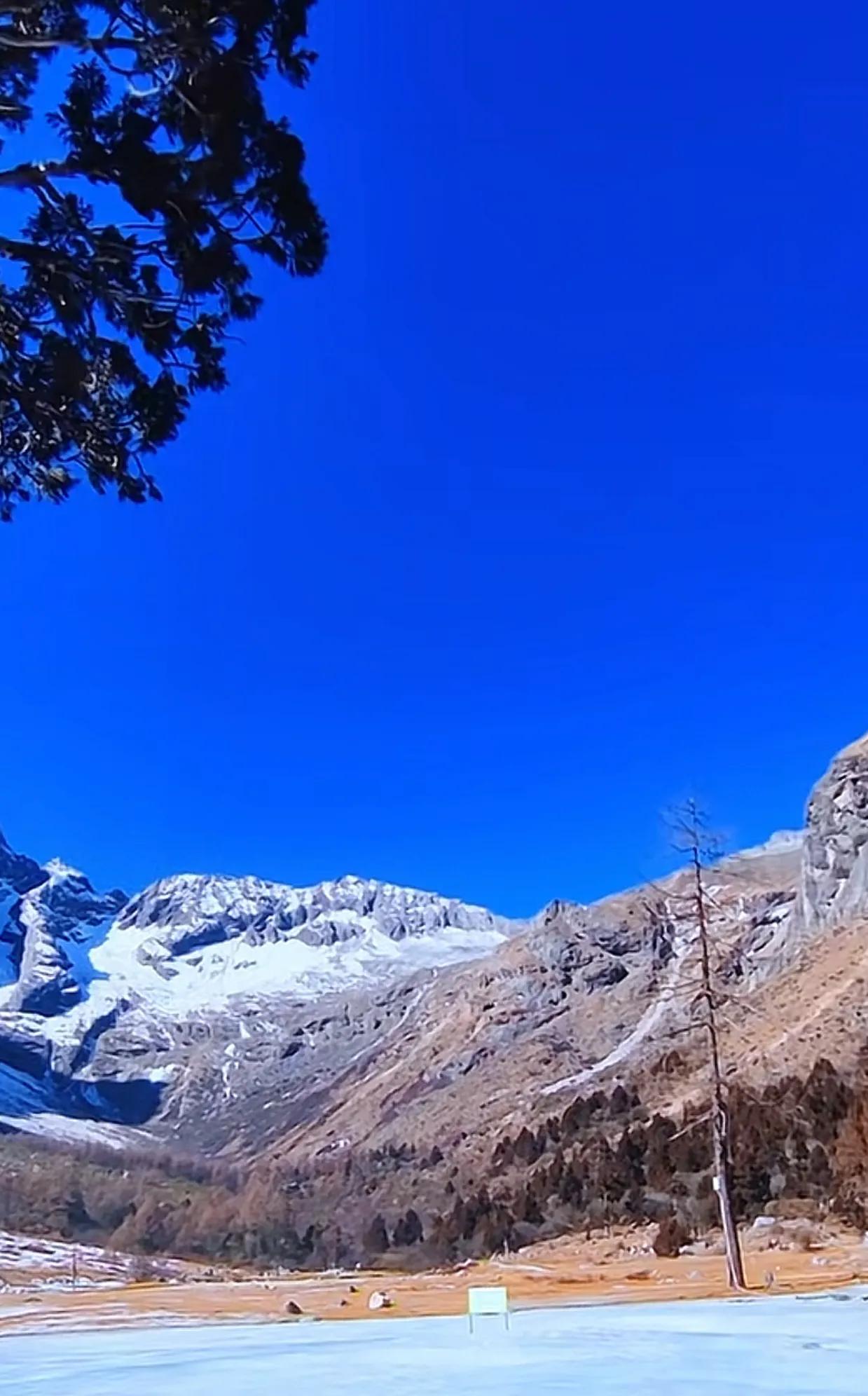 在这幅完美的画卷中，蓝天与雪山交相辉映，松柏挺立，溪流潺潺，让人仿佛置身于仙境般