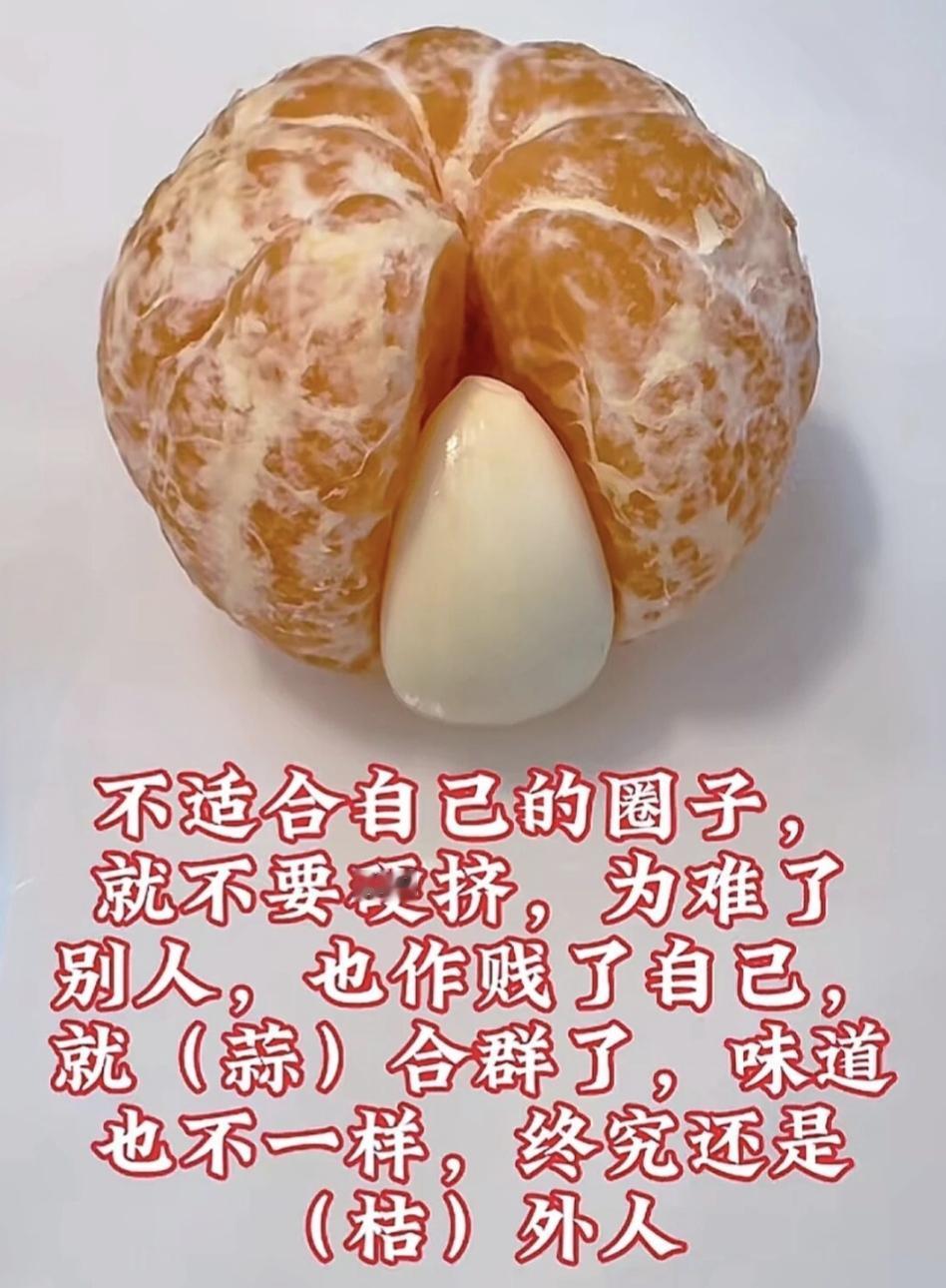 分享你今日的感语