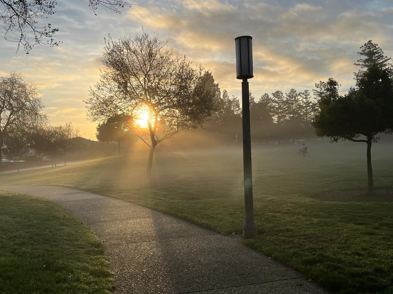 清晨的阳光☀️美丽的早晨！