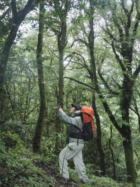 探㊙️云南虫谷｜重装徒步25km哀牢山2天1夜
