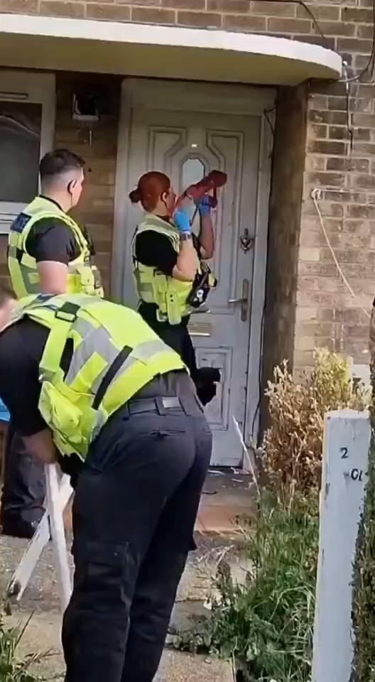 这波操作都看傻了。