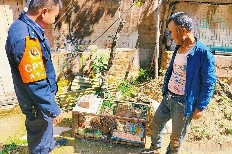 网络文明陇风清甘肃身边事兰州身边事 警民携手，救助“萌”鸮归家！近日，会宁县翟家