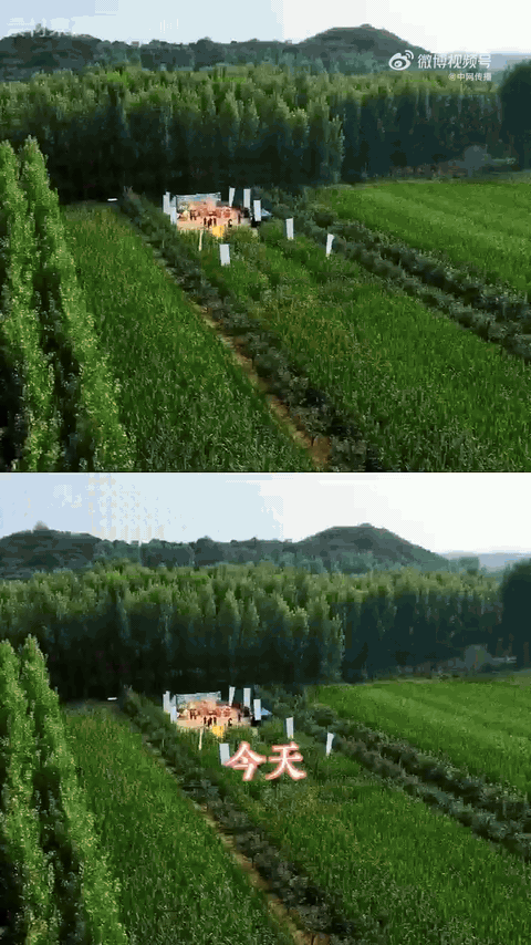 好玩！比完直接就地颁奖，一个个拿着奖品掏心窝子说感受，没有花里胡哨的剧本，全是接