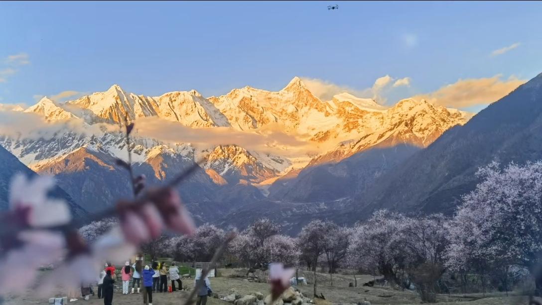 林芝南迦巴瓦峰，日照金山、桃花相映[爱慕]有一种…好高级的感觉