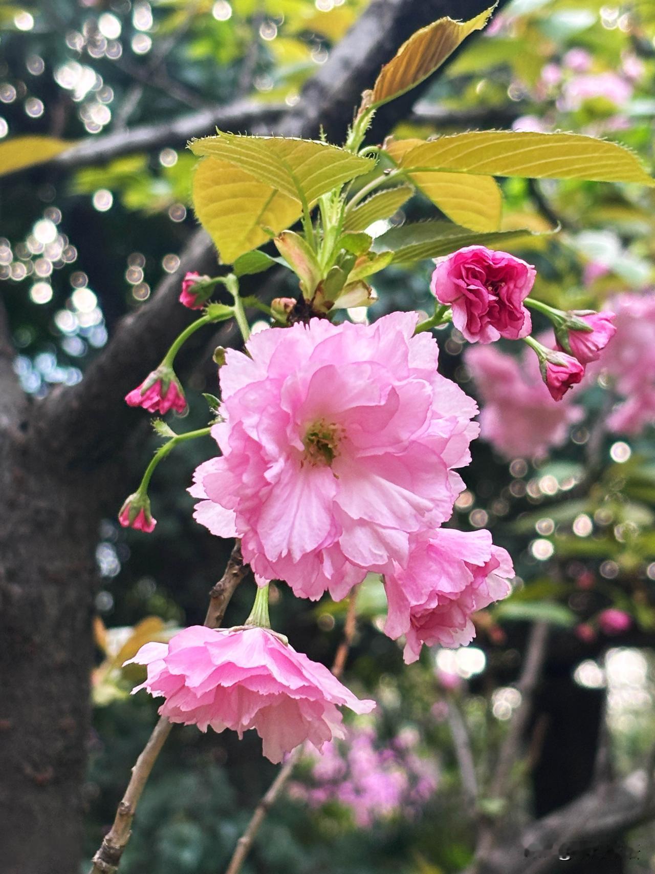 一个人强到可怕的10个表现，占6个已远超常人
1、说话很少
不随便发表意见，更不