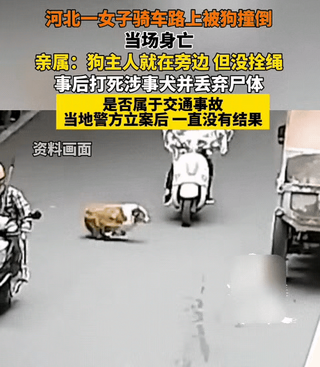 一女子在骑电动车行驶时，被一只大狗撞倒身亡。亲属说:狗主人就在身旁，狗没有拴绳。