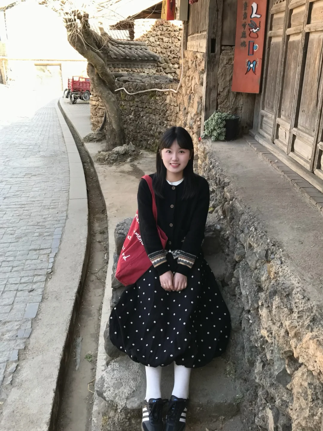 雪山下的小村落•͈ᴗ⁃͈🏔️ˊ˗