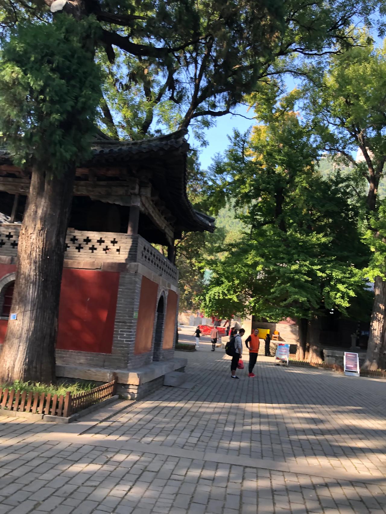 天气冷了
我还能出去旅游吗？
今年的好日子不多了
红叶谷的红叶🍁也该掉下来了吧