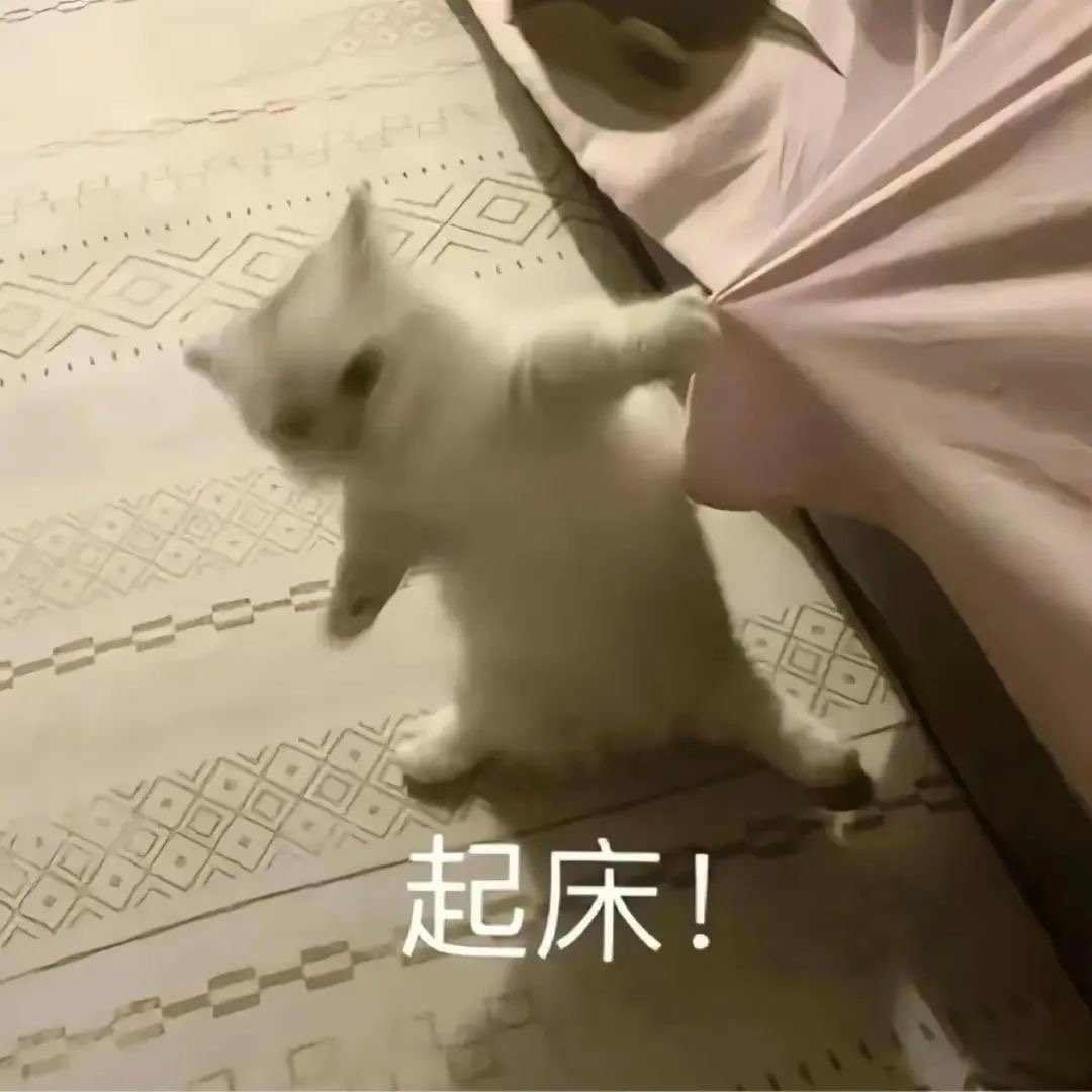 𝗖𝗼𝗳𝗳𝗲𝗲 𝗧𝗶𝗺𝗲 ☕打工打工 两手空空，春夏秋冬 不能