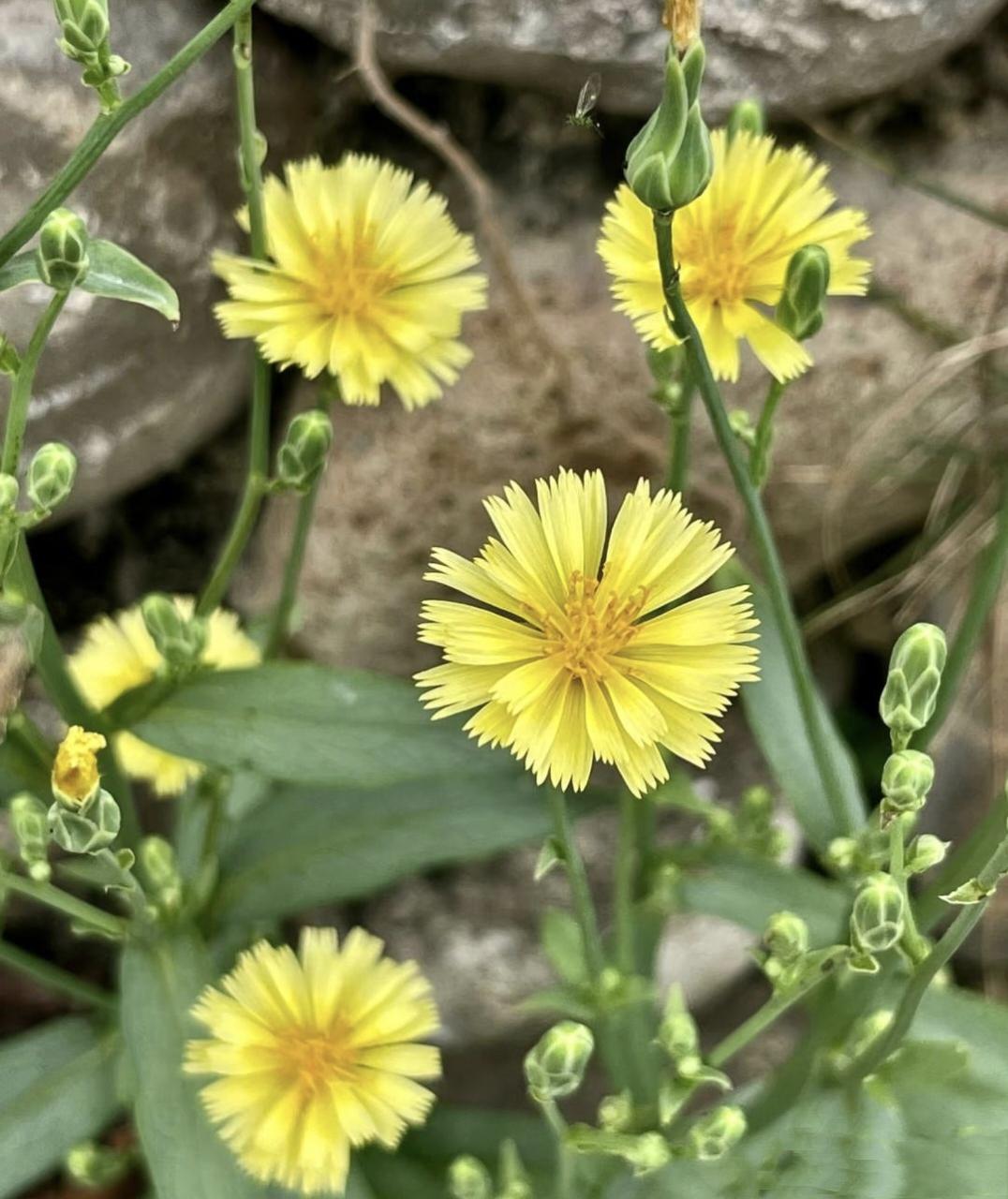 天塌了，咋办呀?邻居大哥今年才45岁，去理发的时候，理发大哥在他后脖子上发现有一