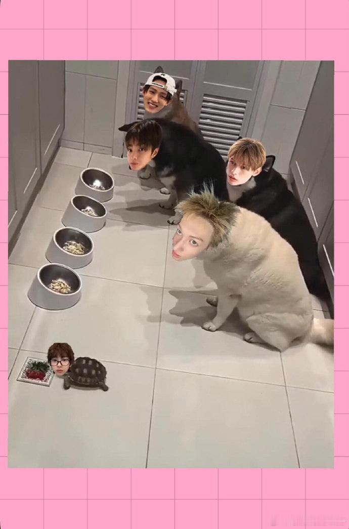 冲浪速度这一块！笑不活了，安乾镐居然点赞了粉丝自制的cortis梗图，马上全员就