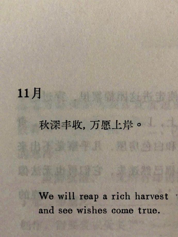 十一月，请及时上岸。运势