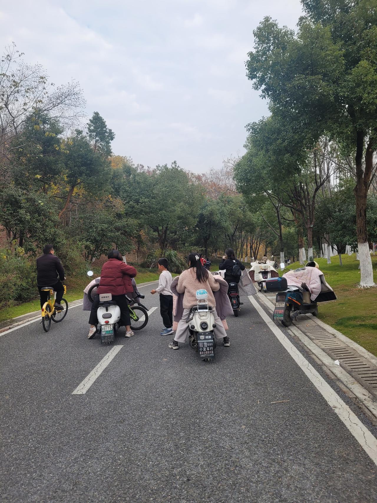 冬日生活打卡季