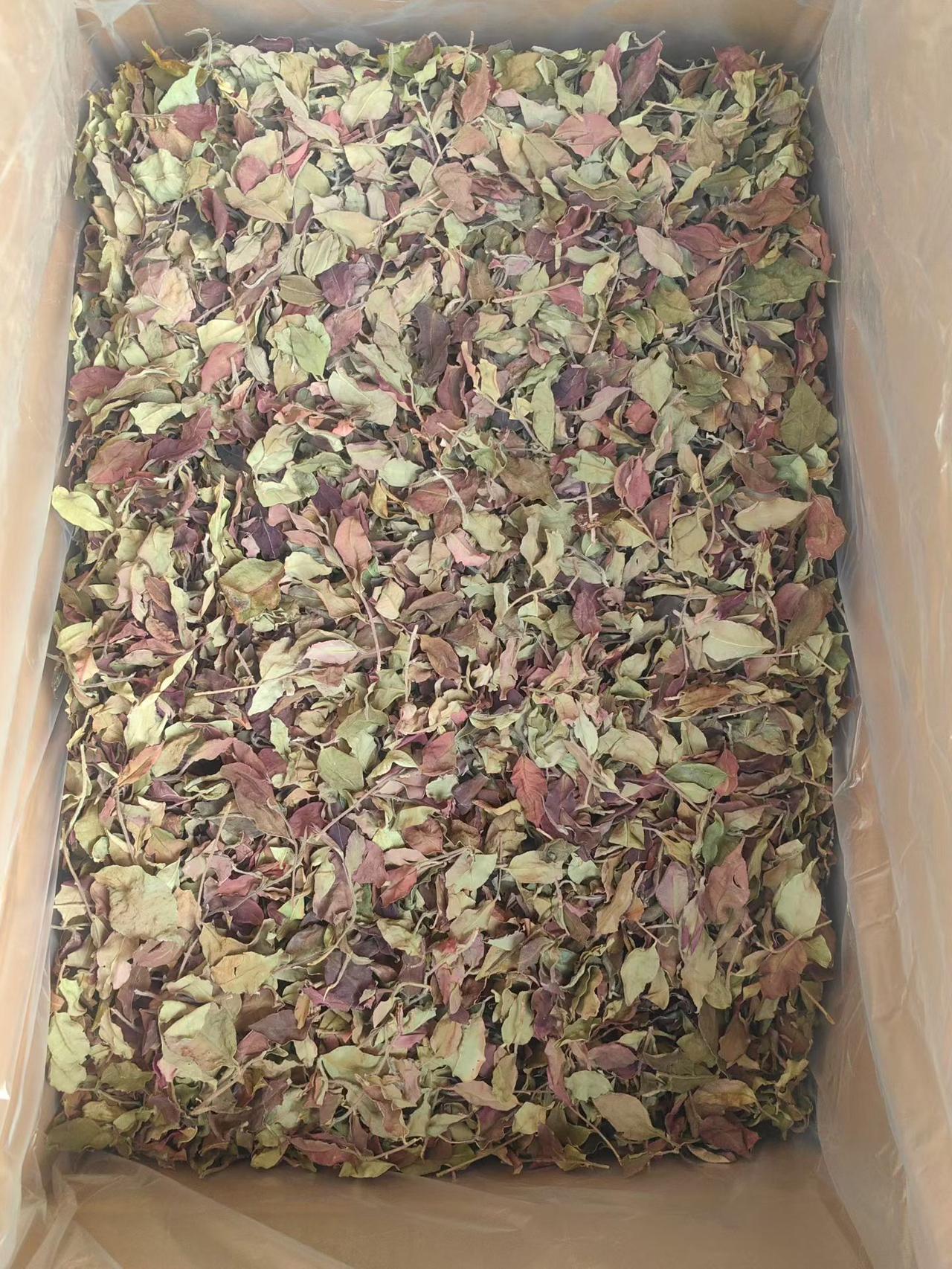 当地师傅也叫“香水白茶”，口感比较清淡，不太适合口重的朋友，又因发酵度较低，有一