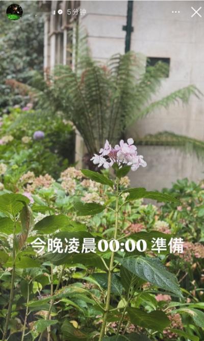 周杰伦预告今晚新专辑周杰伦 今晚凌晨0:00准备 期待！ 