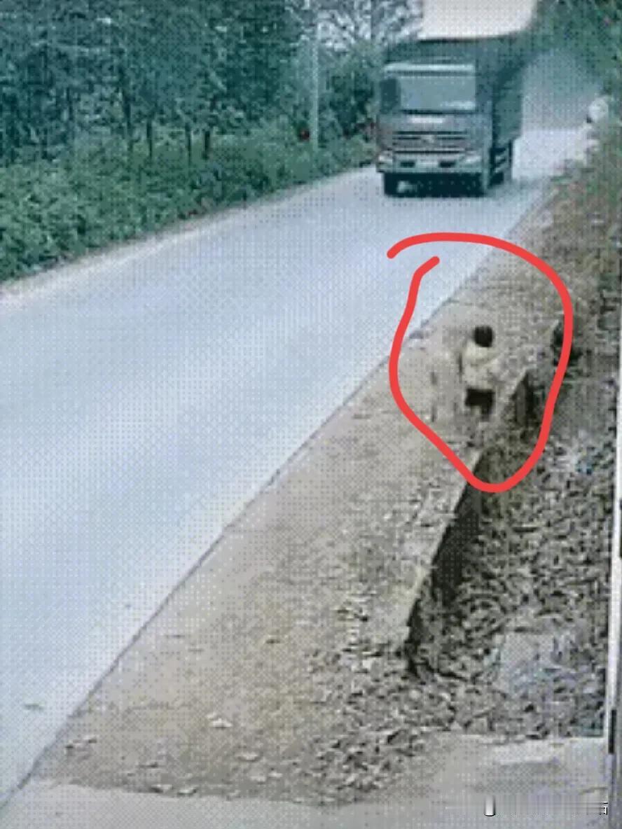 惊呆所有人：太不可思议了，最先还以为小狗调皮，把小主人挤到水沟里去，当我看到视频