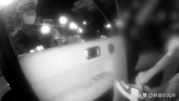 浙江海宁有个男的，喝完酒居然想靠“智驾”回家，结果被爱车直接“送”到交警面前！