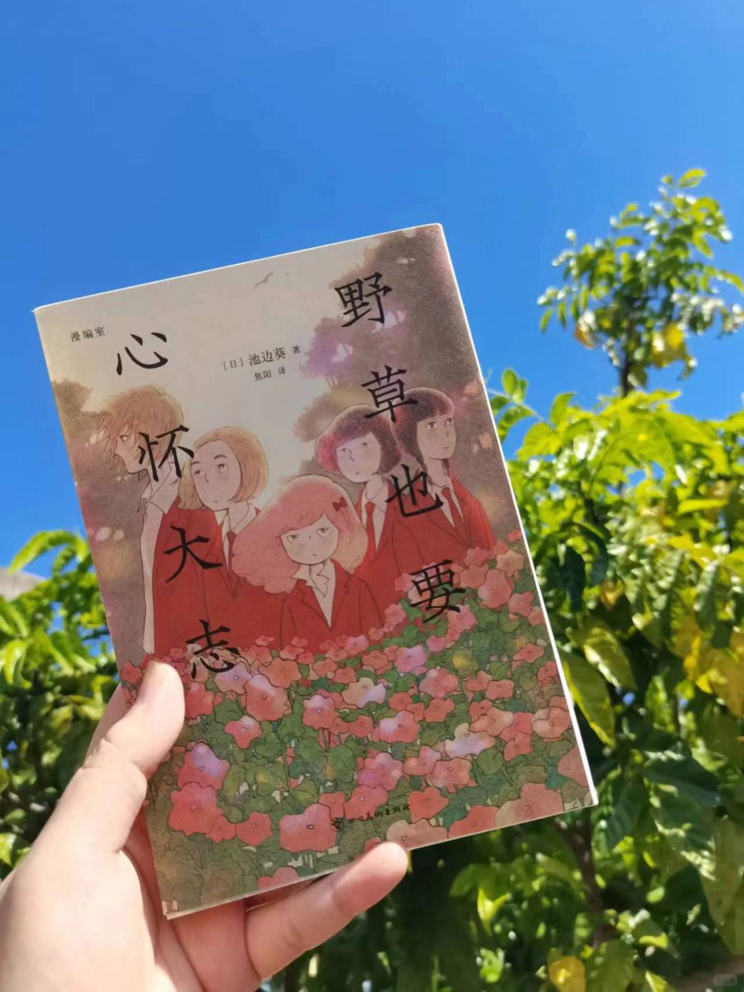 这本书才是青春该有的样子！