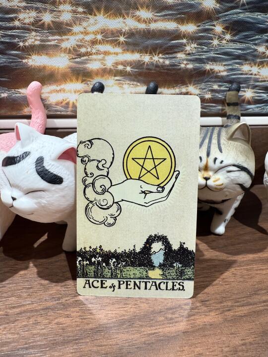 收到意想不到的收获🎁