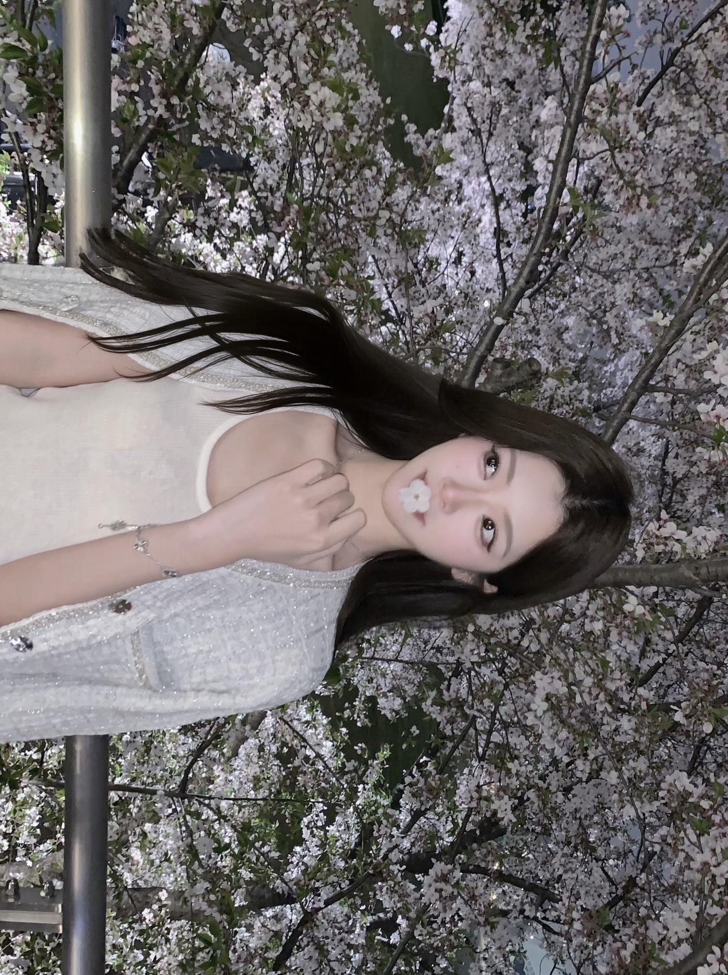 夜樱🌸。