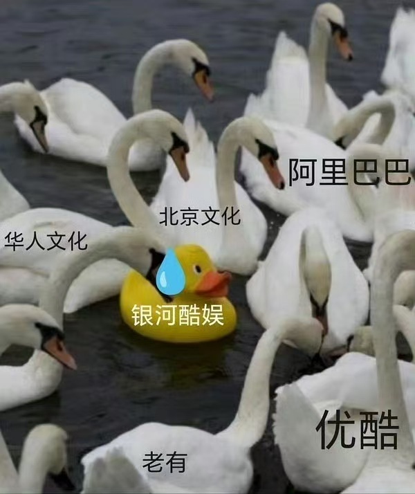 银河酷娱在珠帘的一堆出品里面be like ​​​