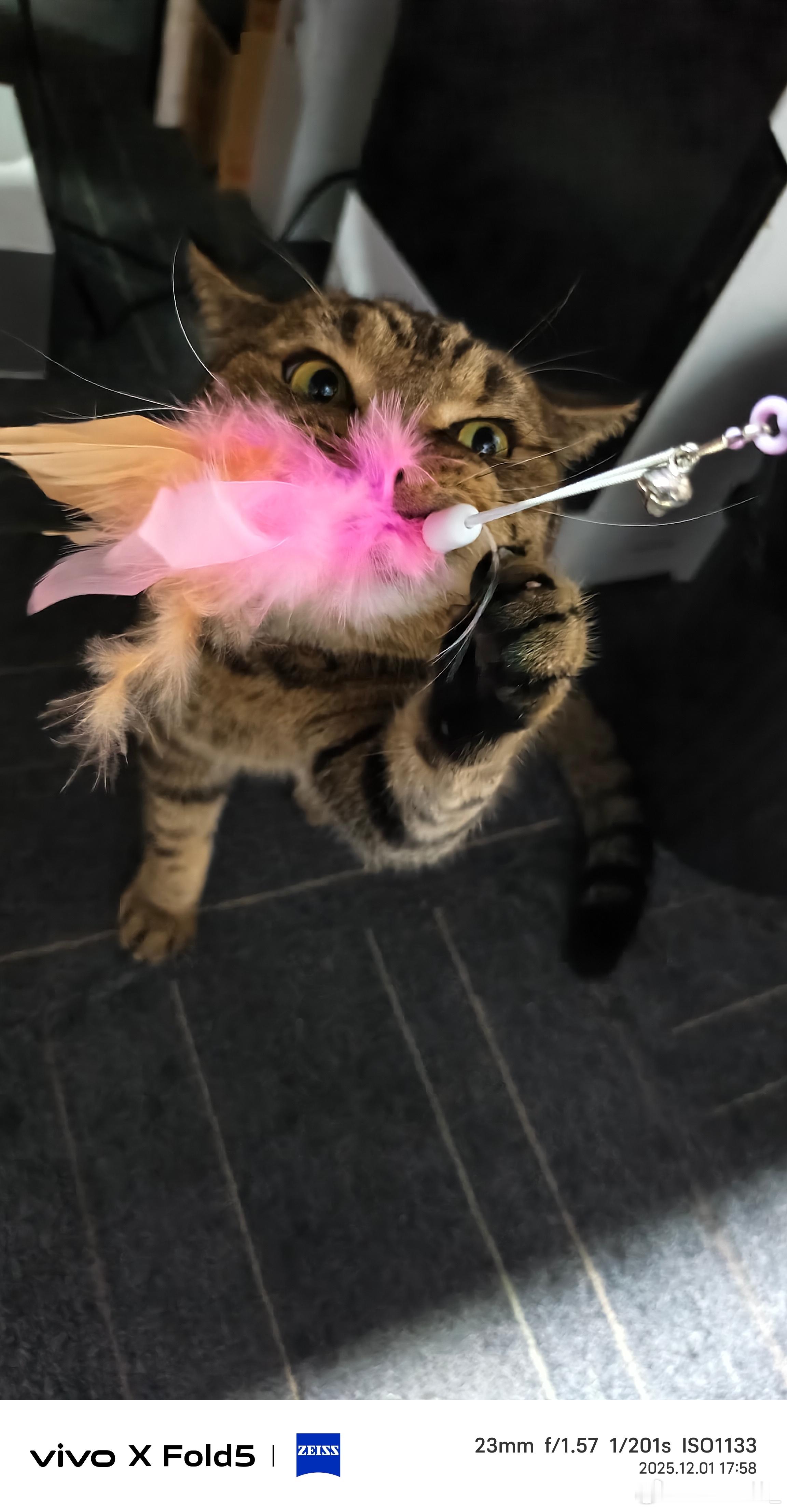 来给大家凶一个！ 