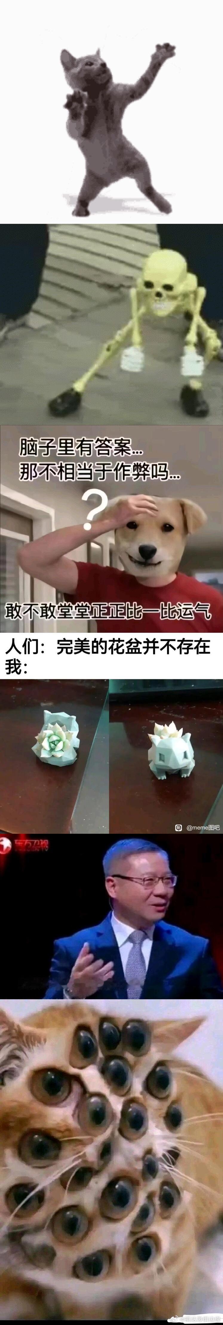 牛魔高兴看meme呢就被攻击了.. 