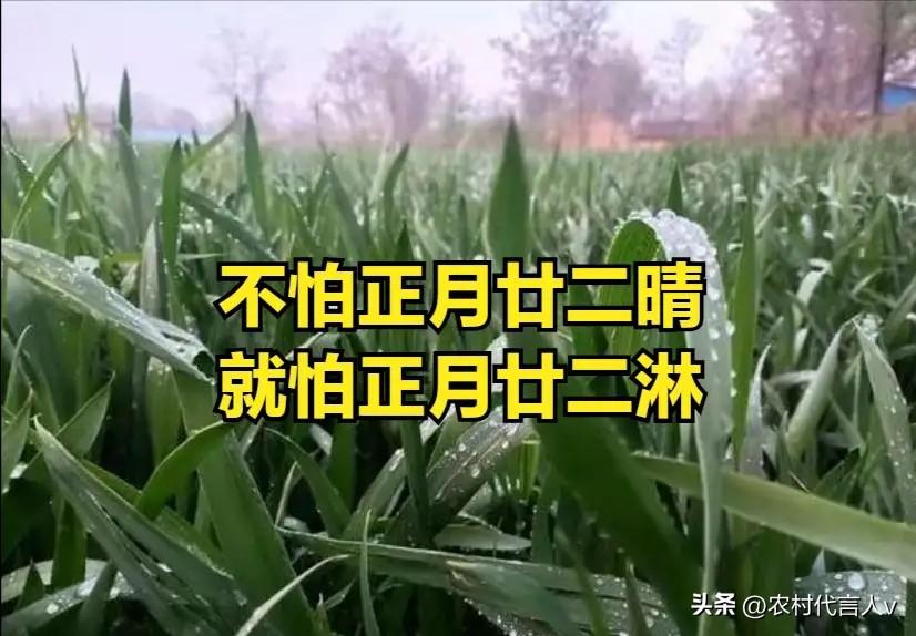 “不怕正月廿二晴，就怕正月廿二淋”，今日正月廿二，有啥预兆？
 
“过了惊蛰节，