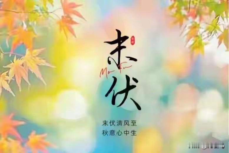 提前通知一下，大家好有个心理准备。今天8月20号，就正式进入末伏第七天了，而且今