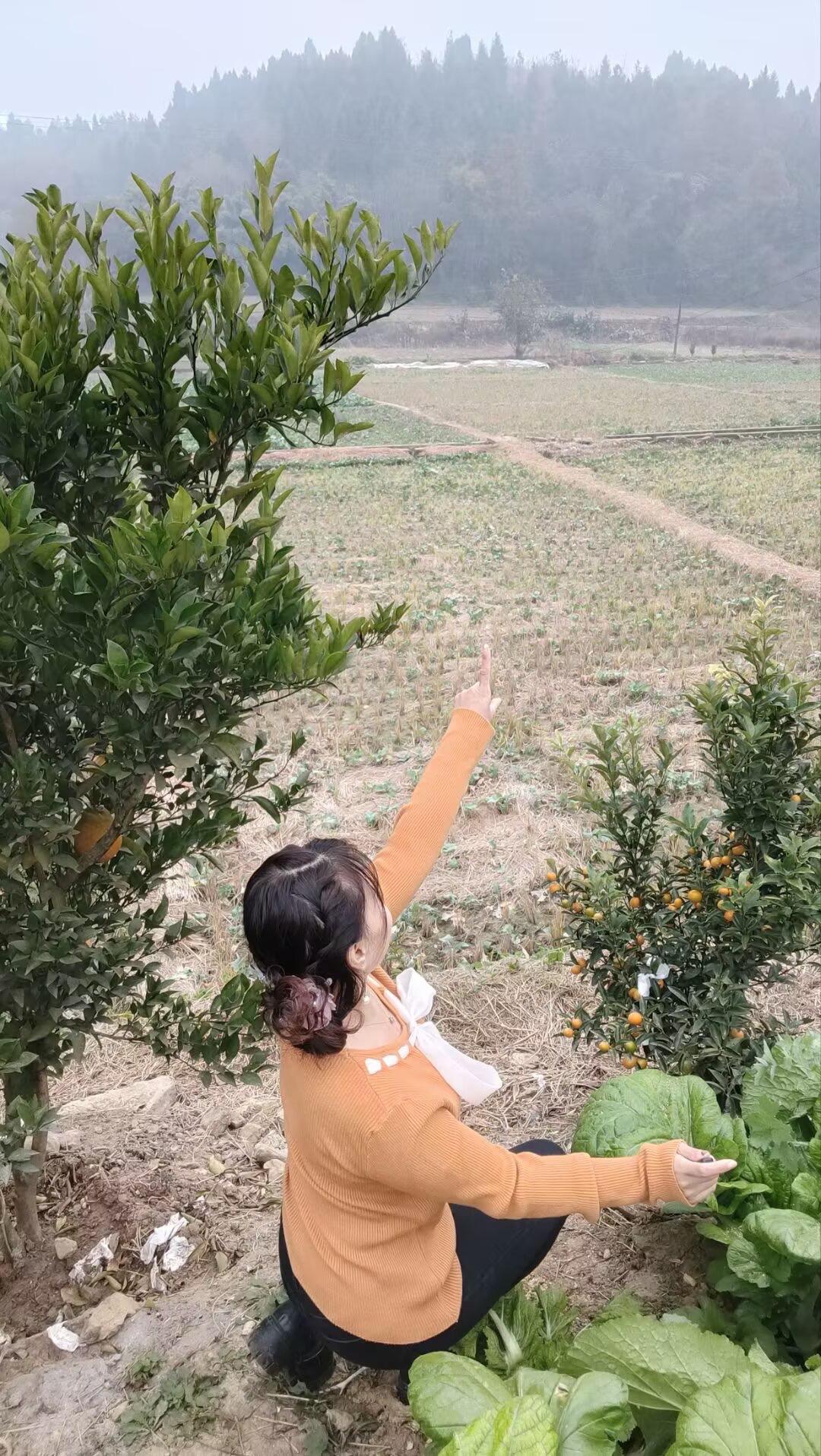 不得不承认，年纪越大，性格越简单，在属于自己的时光里，挺喜欢的歌，做喜欢的事