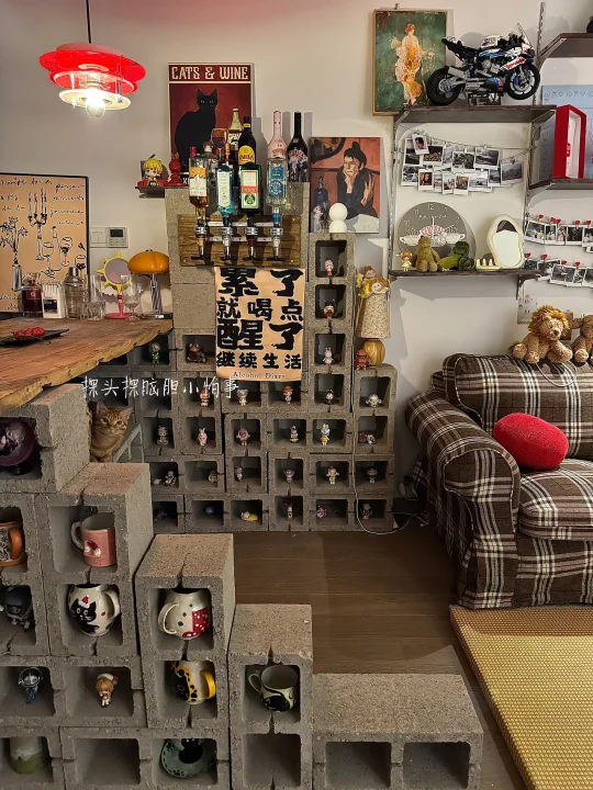 家里像是为猫咪营业的酒吧，真的很抢手😈