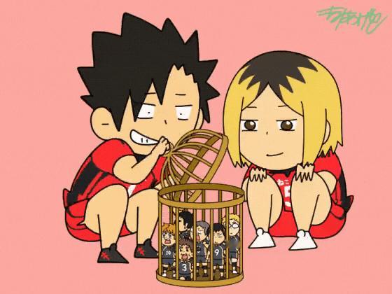 排球少年  问:如何逃出猫猫们设置的鸟笼[举手]©️もみあげ 