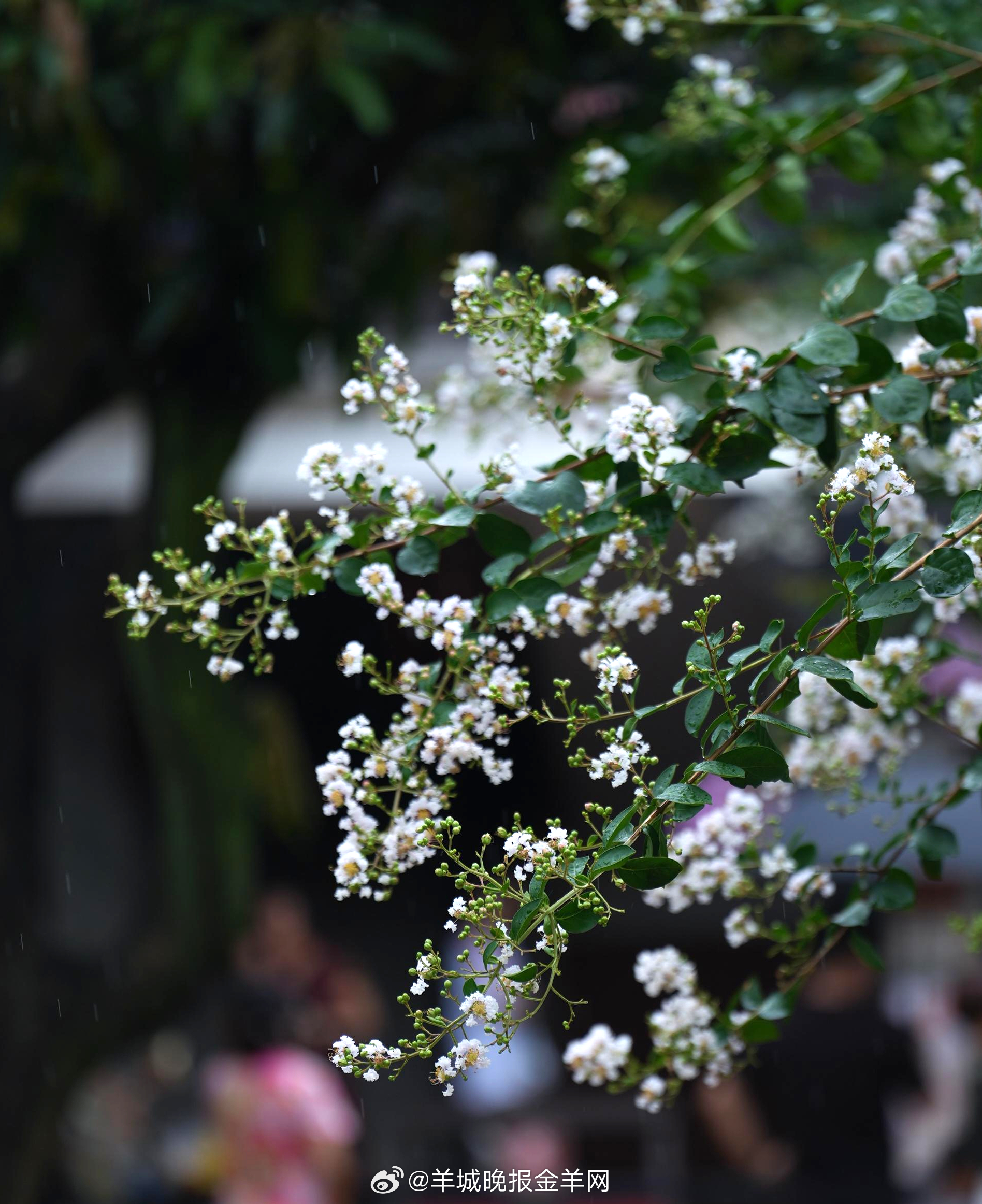 人生有太多时刻，需要你迈出去、试一次、闯一下。与其反复犹豫，不如让自己尽兴地奔跑