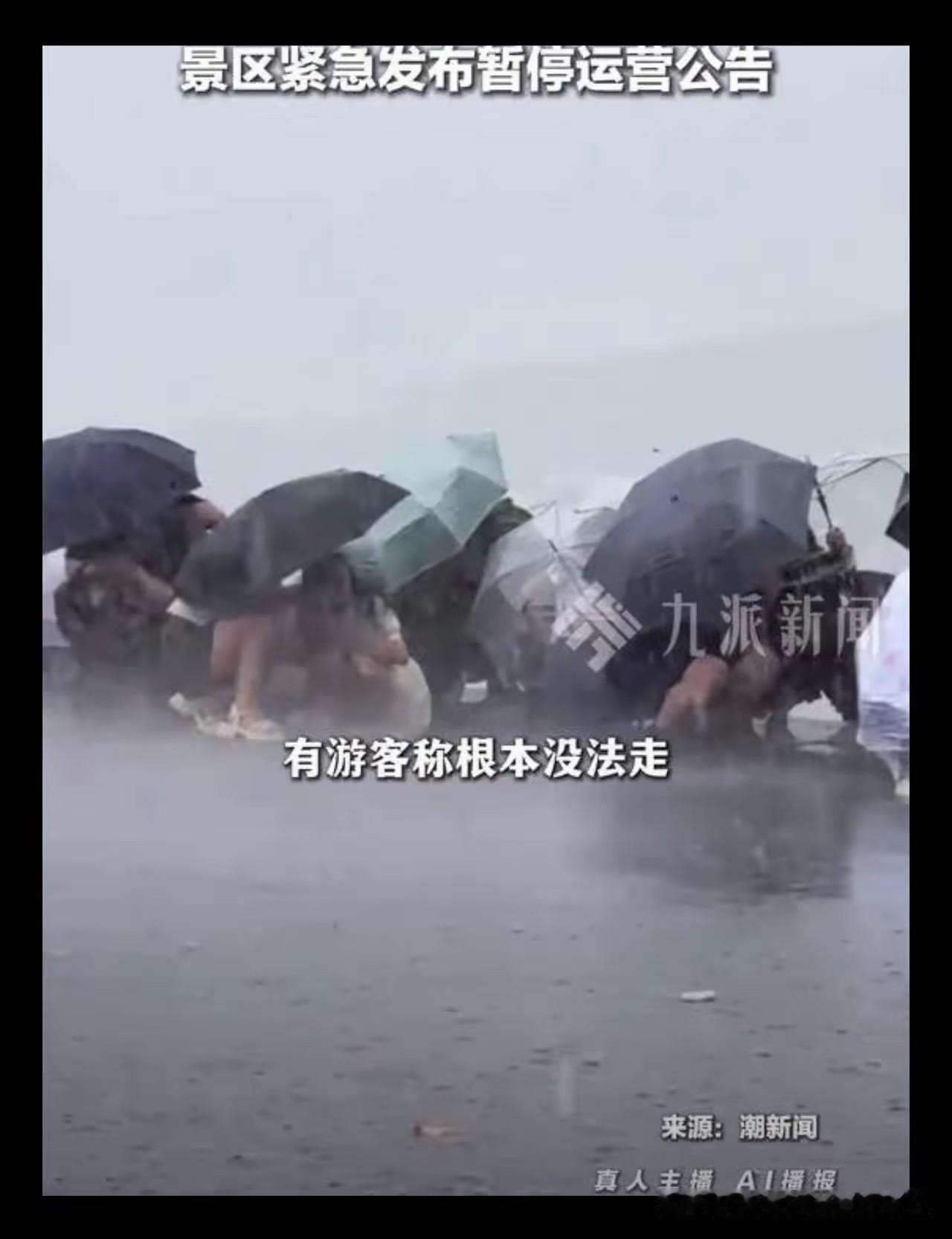 这次的白海豚比巴威强太多了多了，现在的西湖就像跟渡劫一样，风超级超级大。